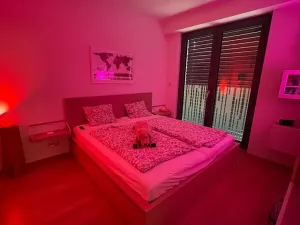 Pronájem bytu 2+kk, Praha - Žižkov, Olšanská, 69 m2