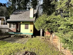 Prodej chaty, Proseč pod Křemešníkem, 40 m2