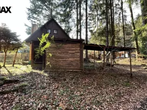 Prodej chaty, Proseč pod Křemešníkem, 40 m2