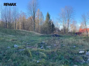 Prodej pozemku, Bílý Potok, 6645 m2