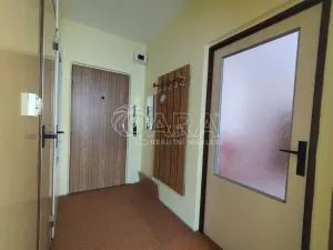 Prodej bytu 1+1, Nová Paka, K Hájku, 35 m2