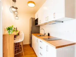 Pronájem pokoje, Praha - Žižkov, Roháčova, 10 m2