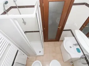 Pronájem bytu 3+kk, Praha - Vinohrady, Slezská, 74 m2