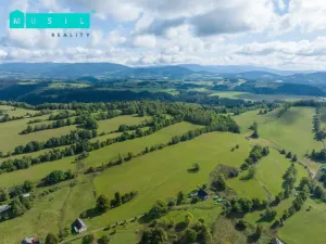 Prodej pozemku pro bydlení, Hanušovice - Žleb, 2030 m2