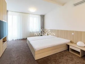 Pronájem bytu 3+kk, Praha - Nové Město, Záhořanského, 109 m2