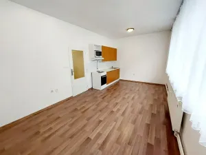 Pronájem bytu 1+kk, Brno, Renneská třída, 30 m2