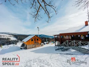 Prodej bytu 2+kk, Strážné, 54 m2