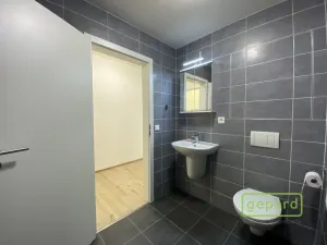 Pronájem bytu 2+kk, Olomouc, Eduarda Hamburgera, 54 m2