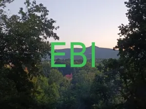 Prodej bytu 5+1, Liberec, Polní, 92 m2