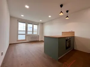 Pronájem bytu 1+kk, Ostrava - Moravská Ostrava, Lechowiczova, 27 m2