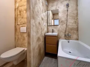 Pronájem bytu 1+kk, Ostrava - Moravská Ostrava, Lechowiczova, 27 m2