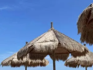 Prodej bytu 2+kk, Via Rovigo,Alba Adriatica,Itálie, 40 m2