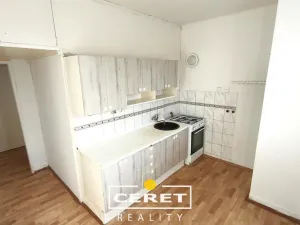 Prodej bytu 2+1, Žatec, Hájkova, 53 m2