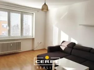 Prodej bytu 2+1, Žatec, Hájkova, 53 m2