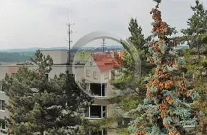 Pronájem bytu 1+1, Třebíč - Nové Dvory, Maxima Gorkého, 33 m2