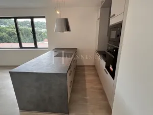 Pronájem bytu 2+kk, Praha - Karlín, U Sluncové, 65 m2