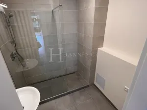 Pronájem bytu 2+kk, Praha - Karlín, U Sluncové, 65 m2