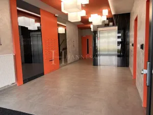 Pronájem bytu 2+kk, Praha - Karlín, U Sluncové, 65 m2