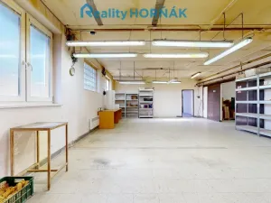 Prodej výrobních prostor, Bechyně, U Vodojemu, 496 m2