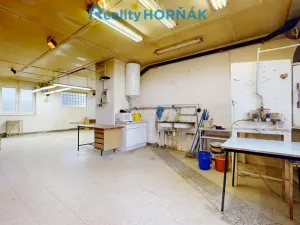 Prodej výrobních prostor, Bechyně, U Vodojemu, 496 m2