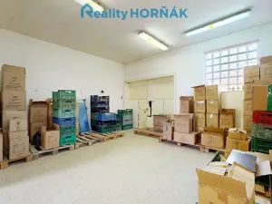 Prodej výrobních prostor, Bechyně, U Vodojemu, 496 m2