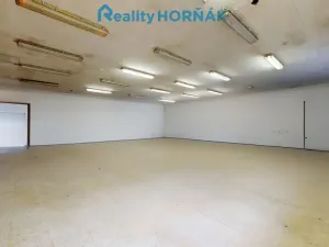 Prodej výrobních prostor, Bechyně, U Vodojemu, 496 m2