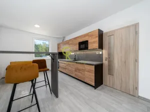 Prodej bytu 2+kk, Skorkov - Otradovice, 49 m2