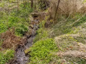 Prodej pozemku pro bydlení, Žihobce - Šimanov, 15955 m2