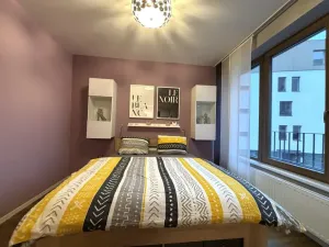 Pronájem bytu 1+kk, Plzeň - Východní Předměstí, Pallova, 37 m2