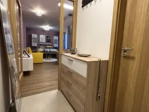 Pronájem bytu 1+kk, Plzeň - Východní Předměstí, Pallova, 37 m2