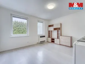 Pronájem bytu 1+kk, Štěnovice, Čižická, 28 m2