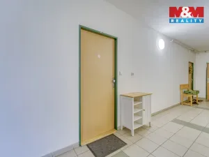 Pronájem bytu 1+kk, Štěnovice, Čižická, 28 m2