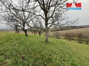 Prodej zahrady, Bezuchov, 901 m2