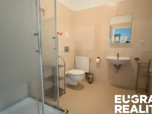 Prodej ubytování, Mikulášovice, 700 m2