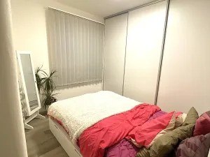 Pronájem bytu 3+kk, Nová Ves pod Pleší, Řadová, 66 m2