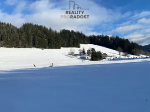 Prodej pozemku pro bydlení, Velké Karlovice, 45173 m2