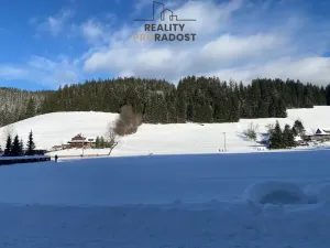 Prodej pozemku pro bydlení, Velké Karlovice, 45173 m2