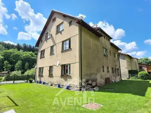 Pronájem bytu 1+1, Plavy, 45 m2