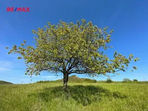 Prodej komerčního pozemku, Podsedice, 4847 m2