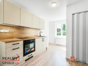 Pronájem bytu 1+1, Frýdek-Místek - Frýdek, Křižíkova, 45 m2