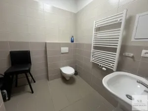 Pronájem bytu 4+kk, Karlovy Vary, Svahová, 111 m2