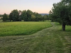 Prodej zemědělské usedlosti, Slabčice, 109 m2