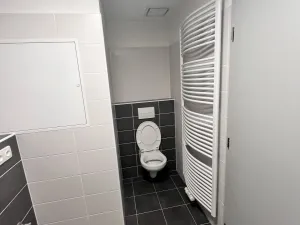 Pronájem bytu 1+kk, Olomouc, Wolkerova, 43 m2