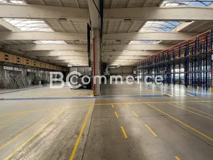 Pronájem skladu, Brno, Vídeňská, 1400 m2