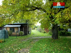 Prodej pozemku pro bydlení, Zlaté Hory, 8880 m2