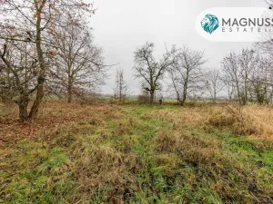 Prodej pozemku pro bydlení, Libina, 7132 m2