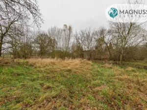 Prodej pozemku pro bydlení, Libina, 7132 m2