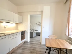 Prodej bytu 1+1, Milovice - Mladá, Višňová, 42 m2