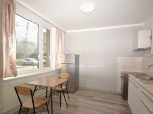 Prodej bytu 1+1, Milovice - Mladá, Višňová, 42 m2