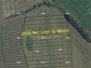 Prodej pole, Bzenec, 3846 m2